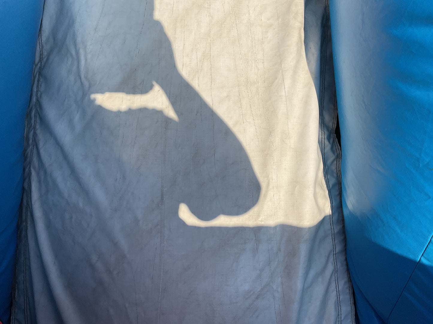 Zoo Playland (toddler)