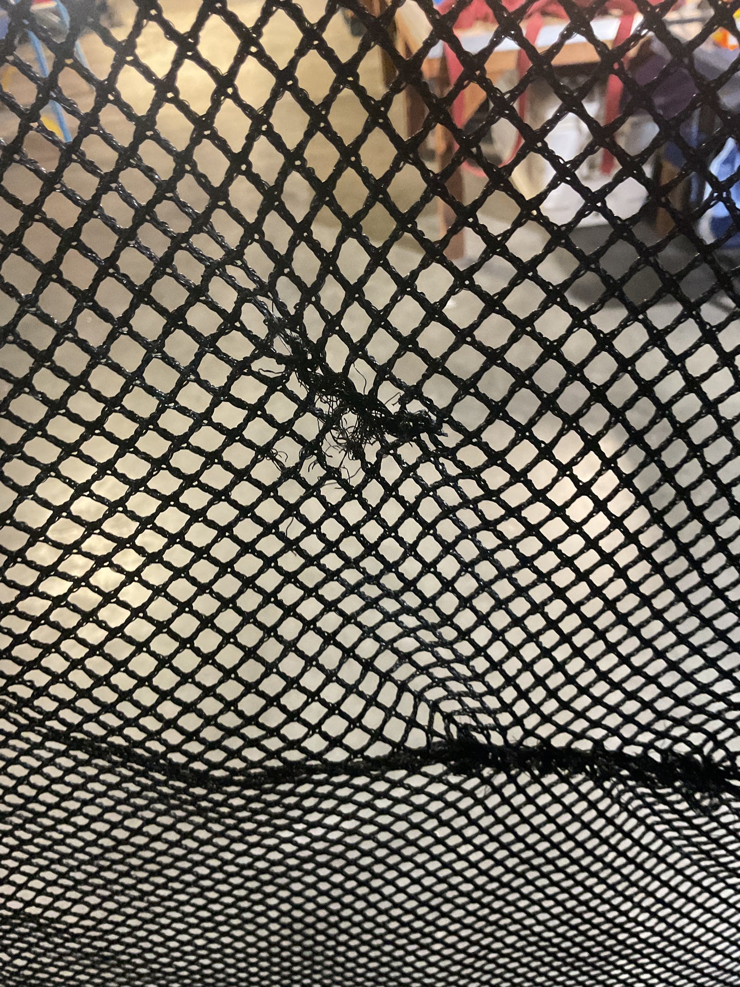 Disney Princess Bounce