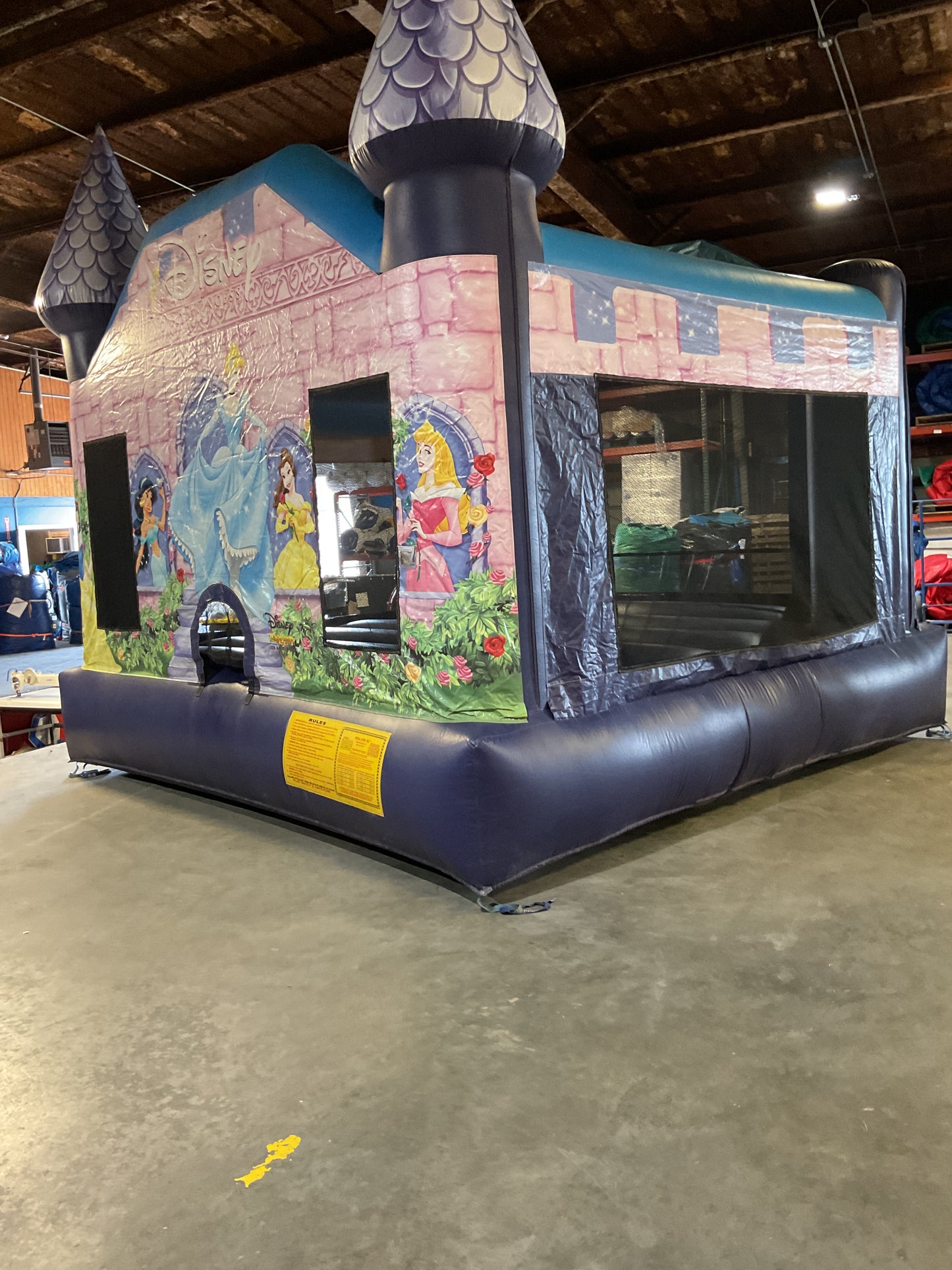 Disney Princess Bounce