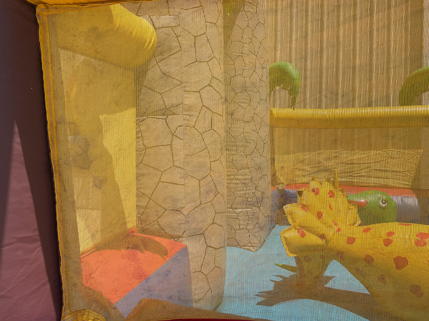 Dino Zone