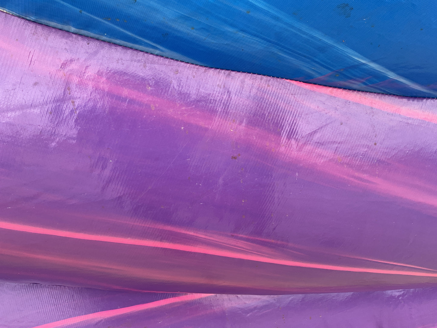 18' Purple Hurricane with pool