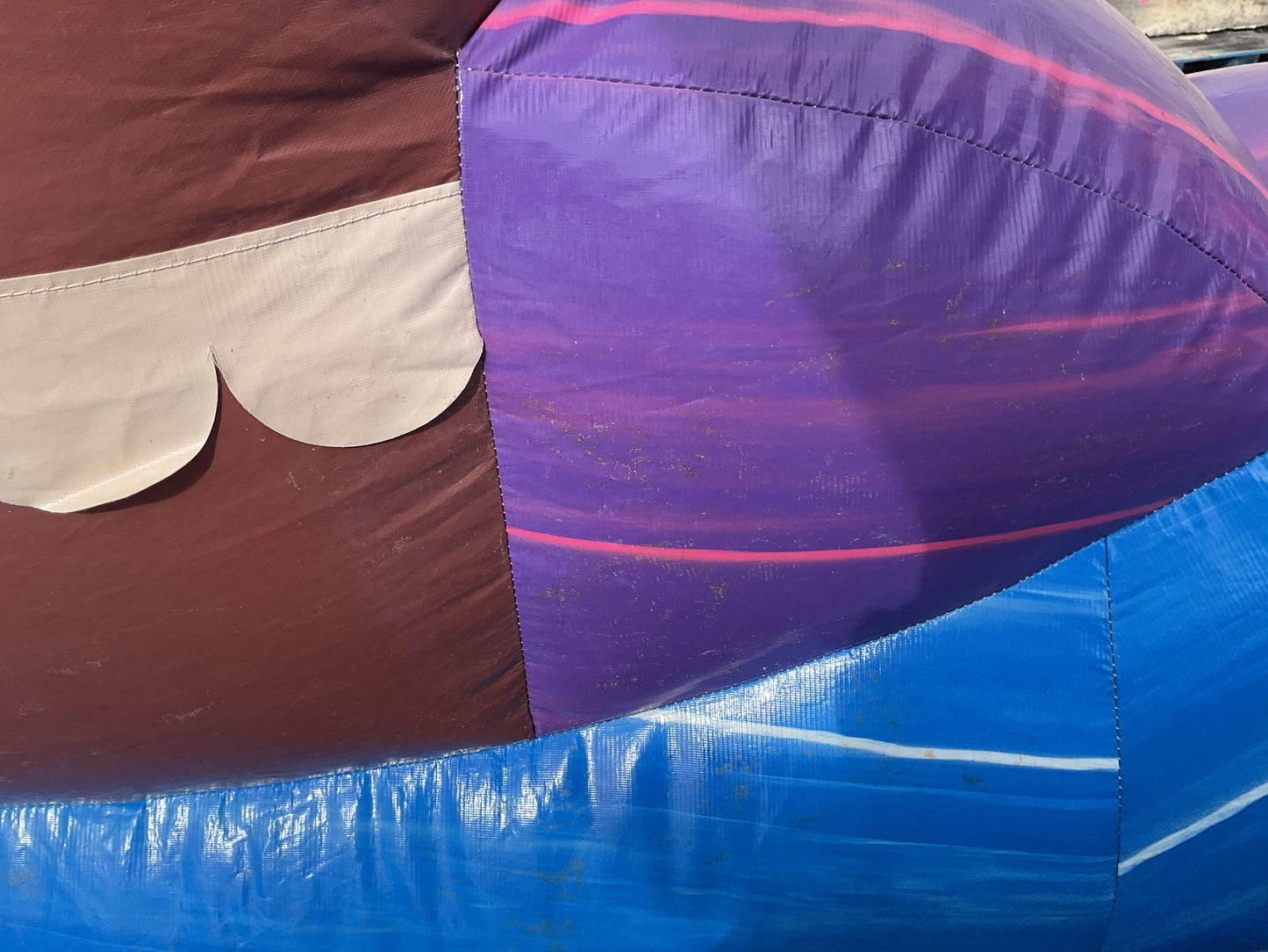 18' Purple Hurricane with pool