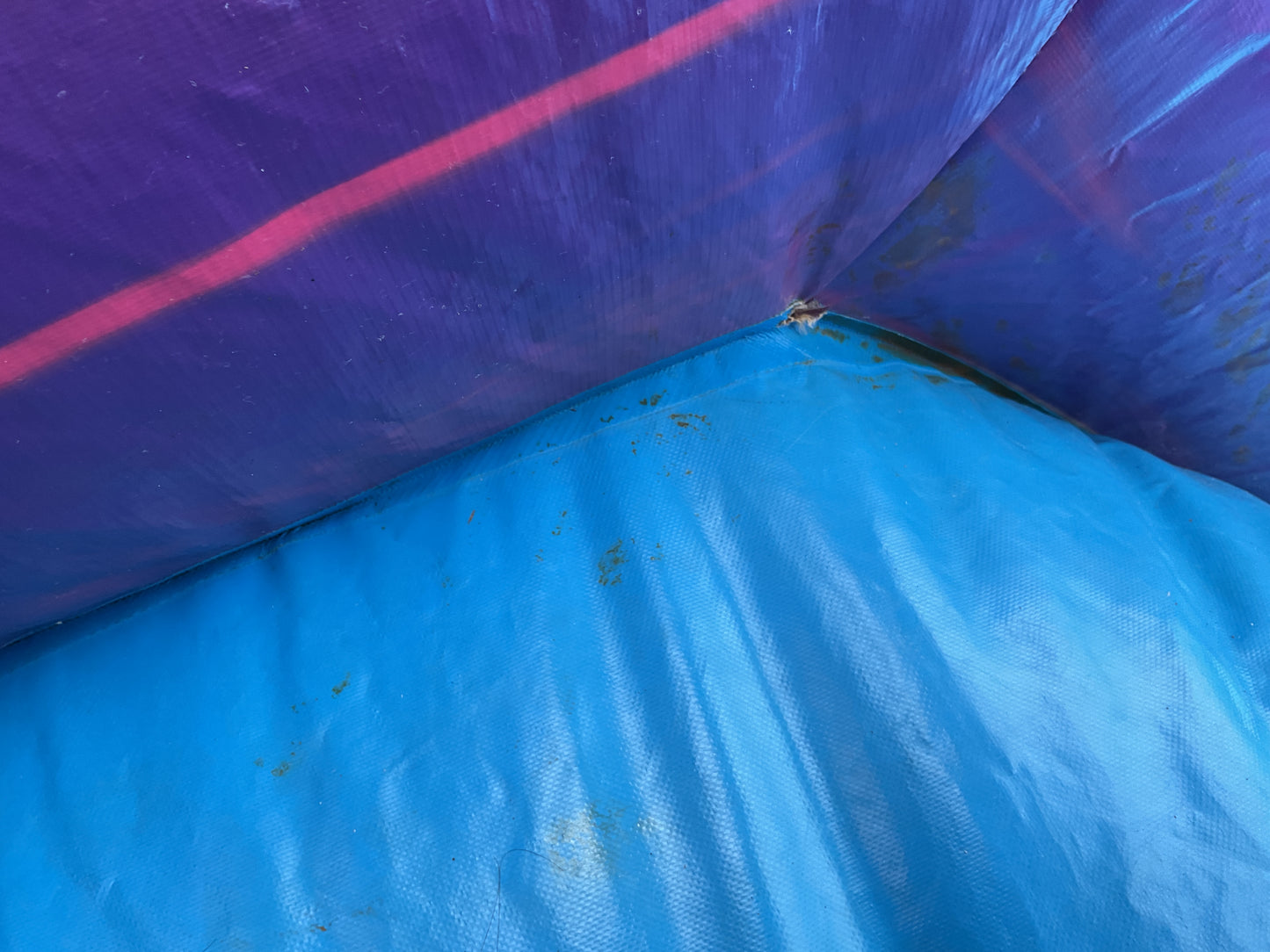 18' Purple Hurricane with pool