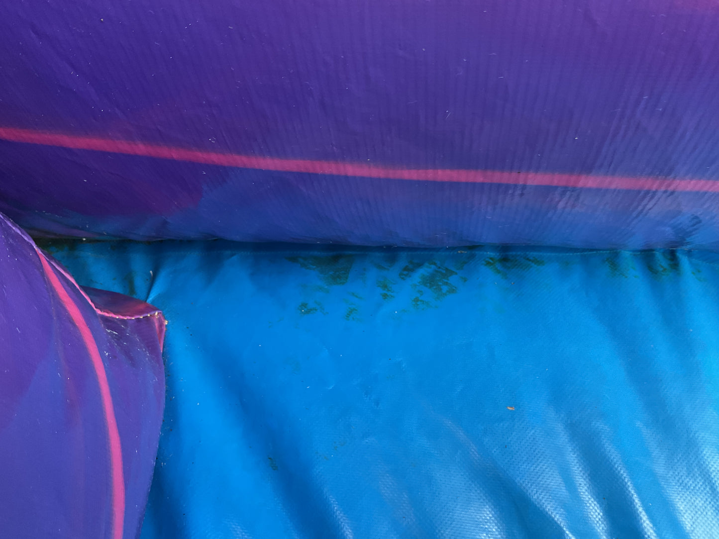 18' Purple Hurricane with pool
