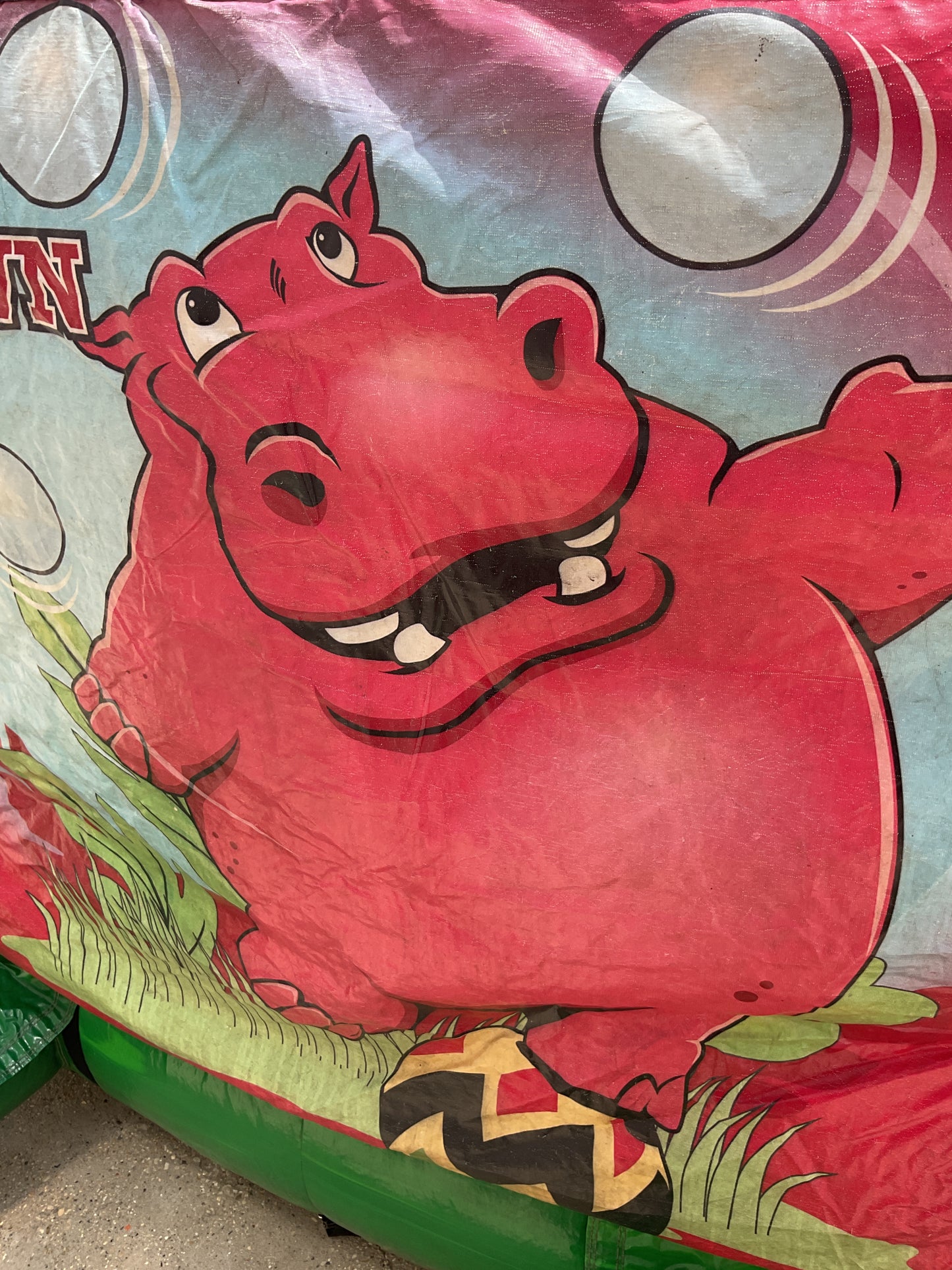 Hippo Chow Down