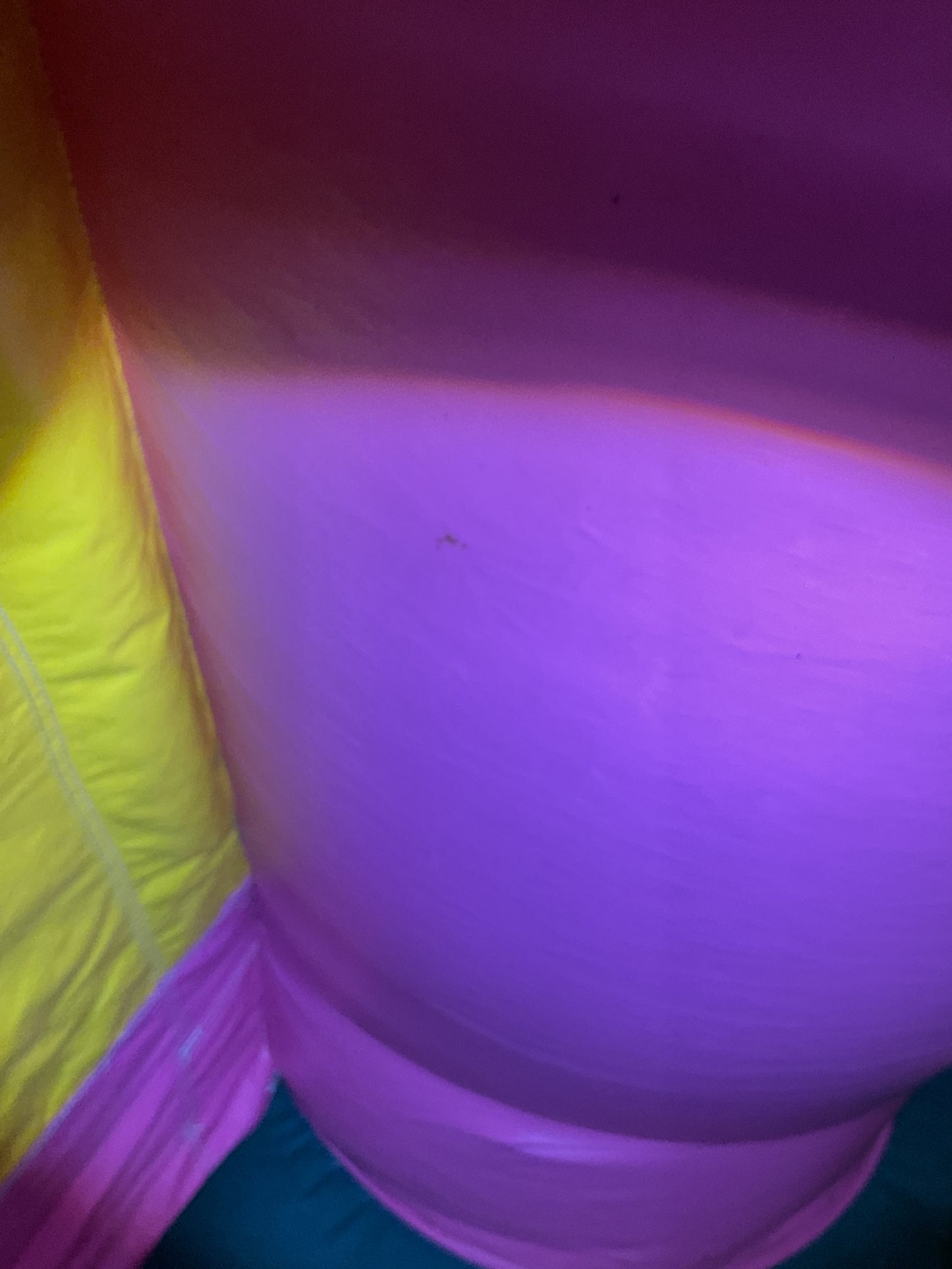 Dream House Bounce