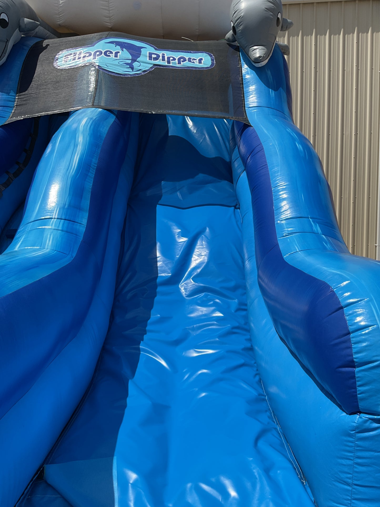 Flipper Dipper Slide with splash pool