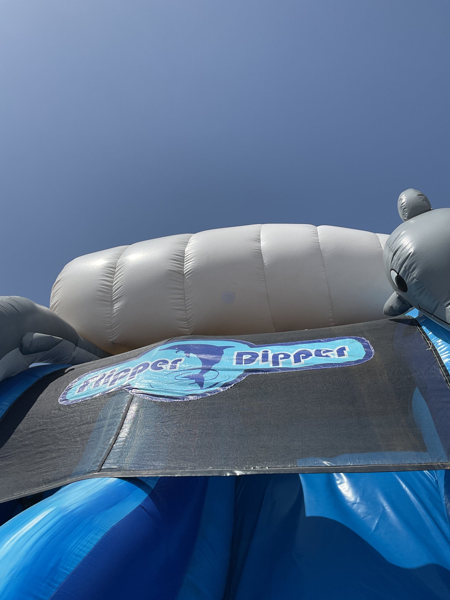 Flipper Dipper Slide with splash pool