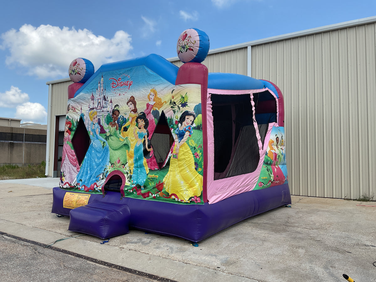 Disney Princess C4 wet/dry combo
