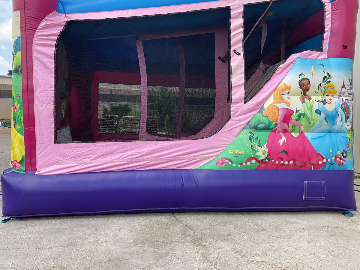 Disney Princess C4 wet/dry combo