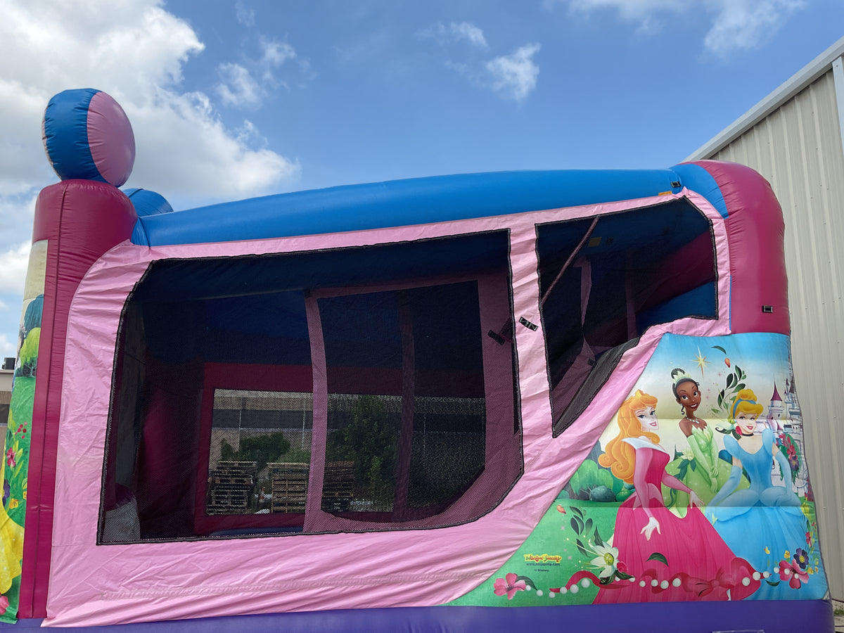 Disney Princess C4 wet/dry combo