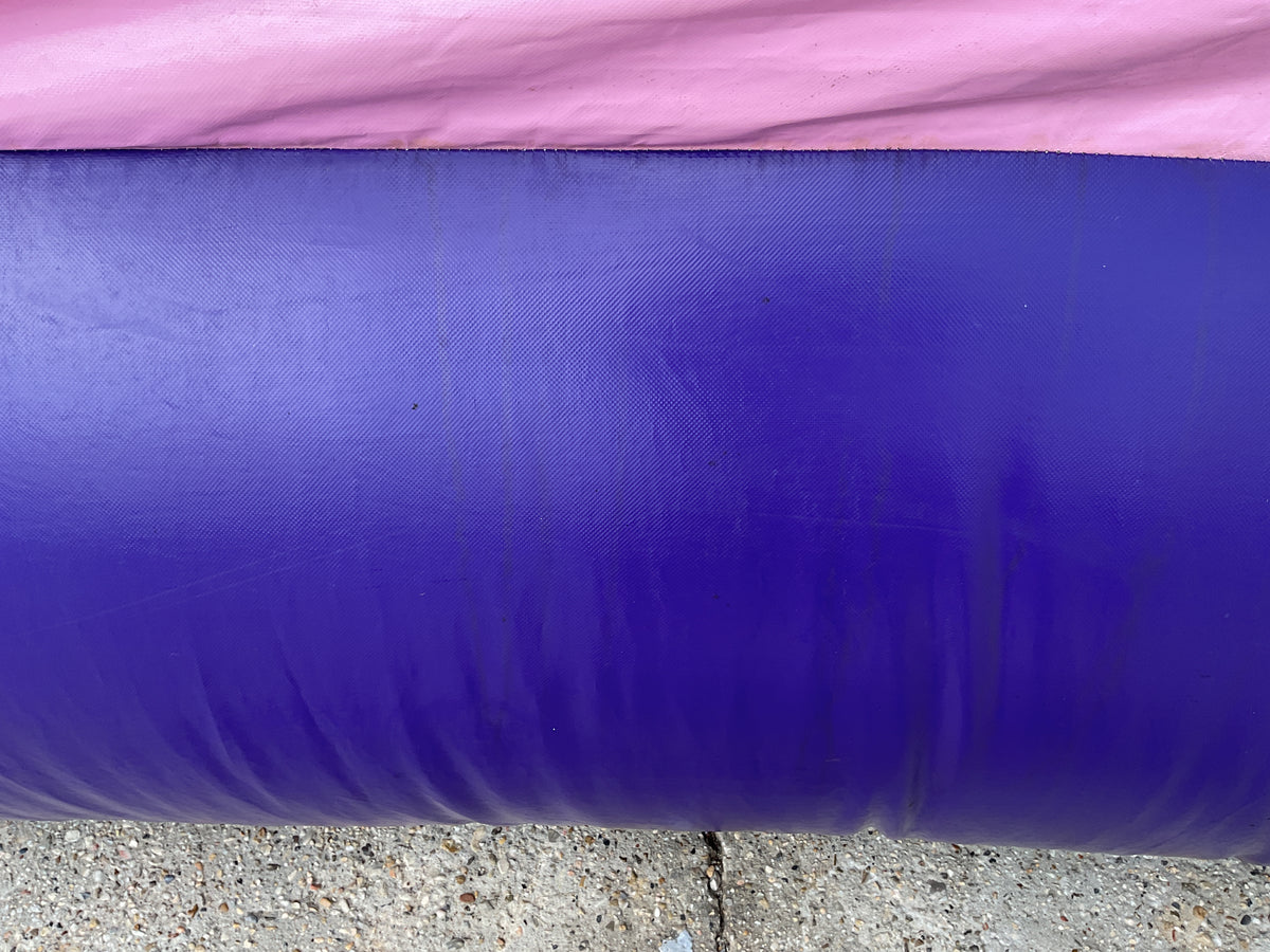 Disney Princess C4 wet/dry combo