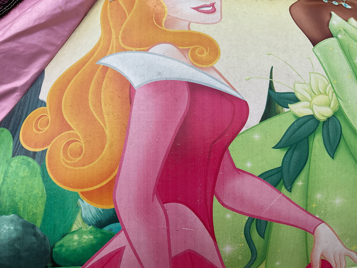 Disney Princess C4 wet/dry combo