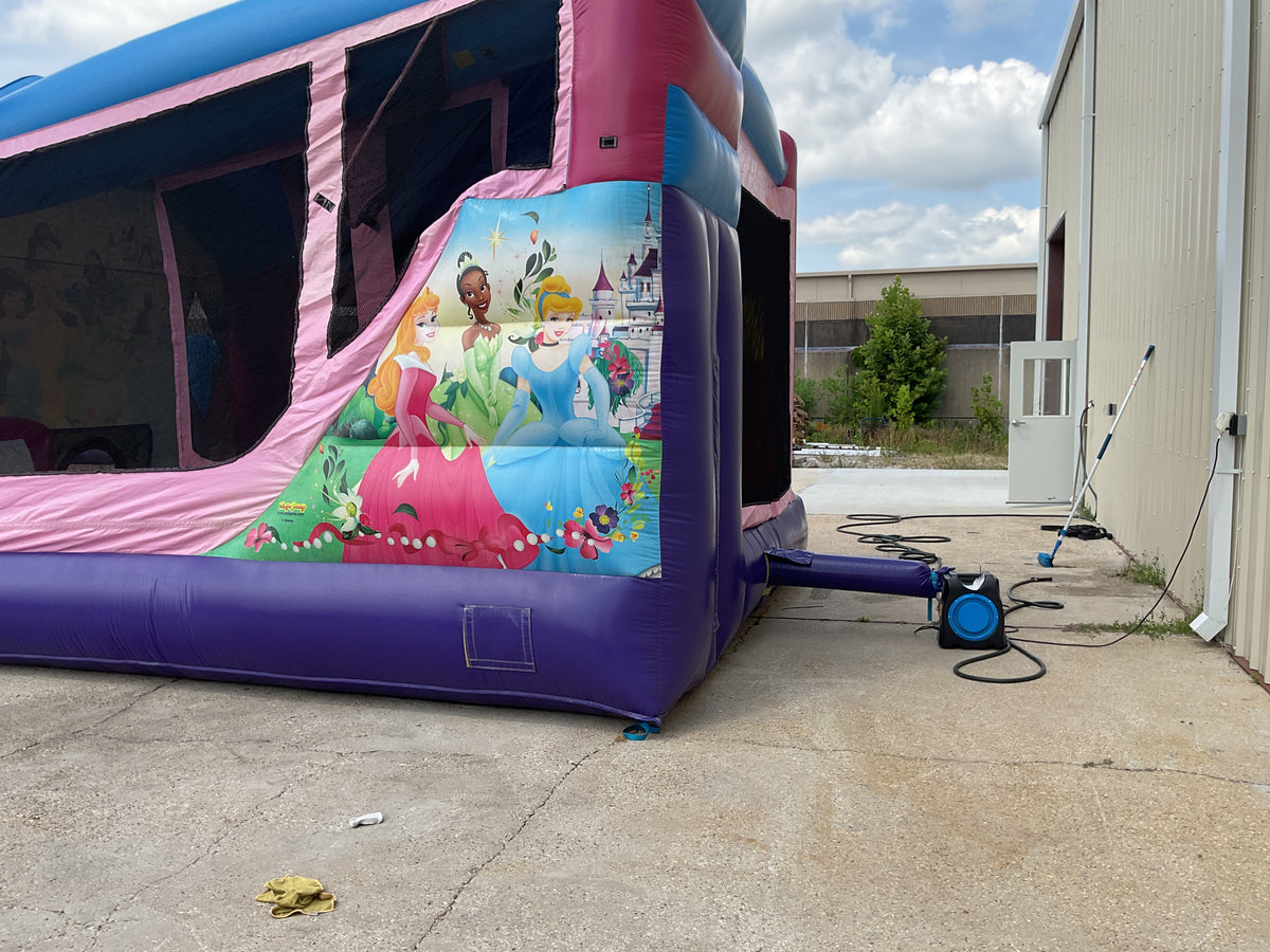 Disney Princess C4 wet/dry combo