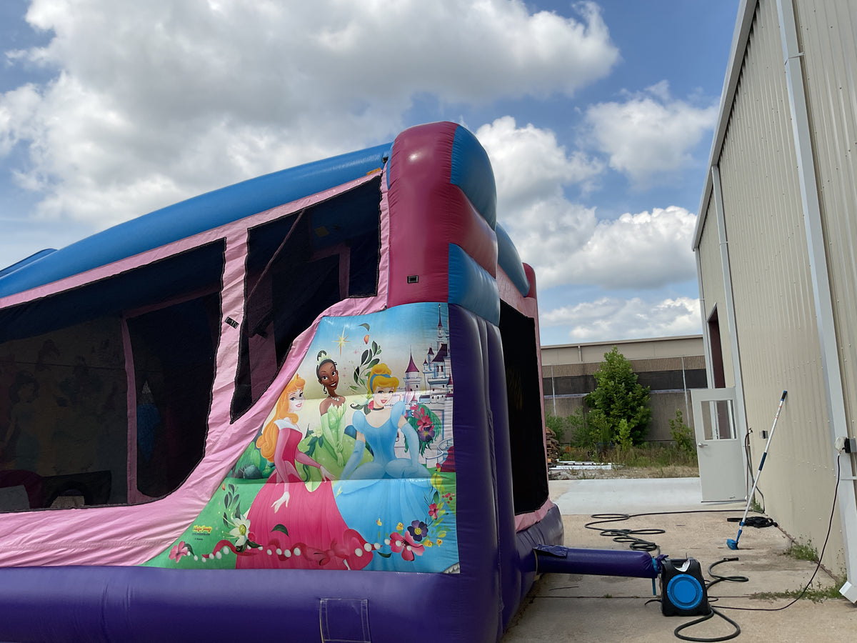 Disney Princess C4 wet/dry combo