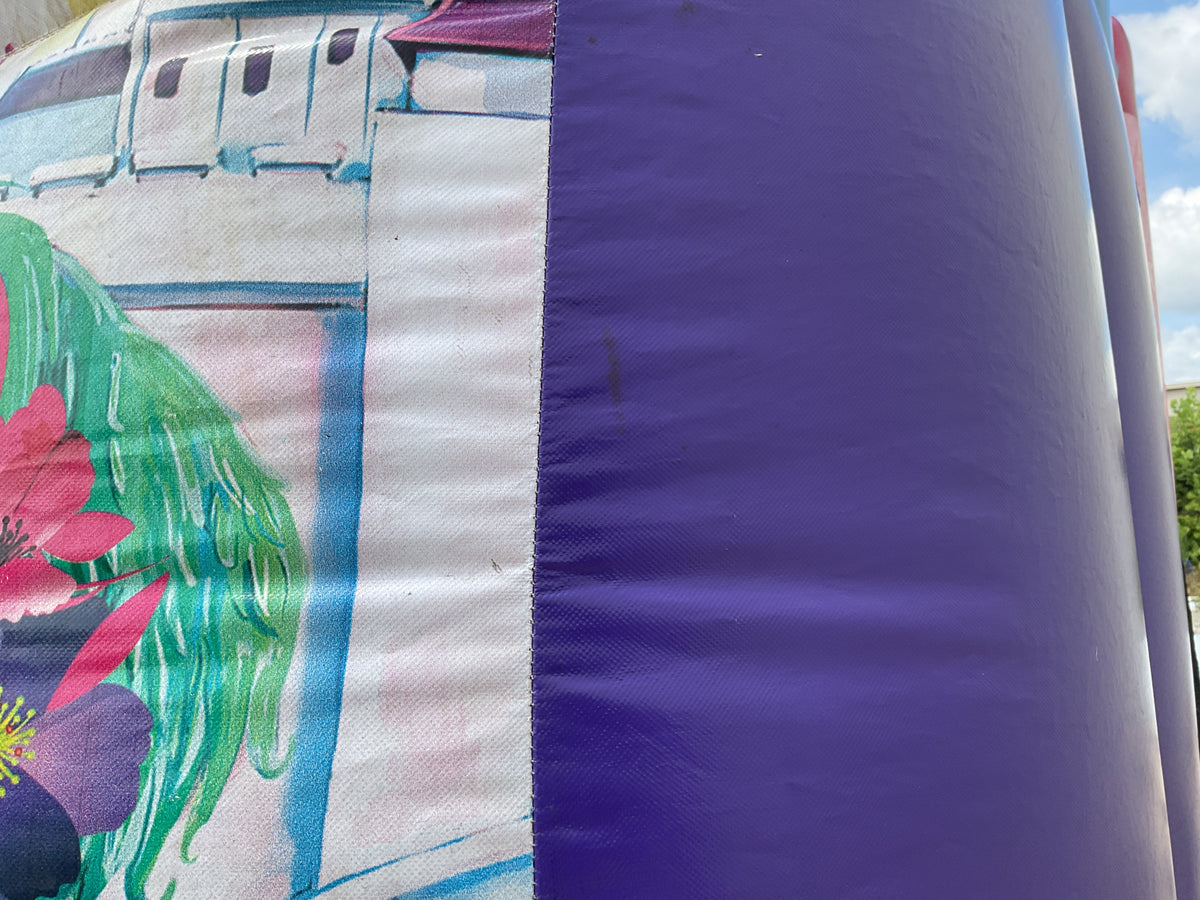 Disney Princess C4 wet/dry combo