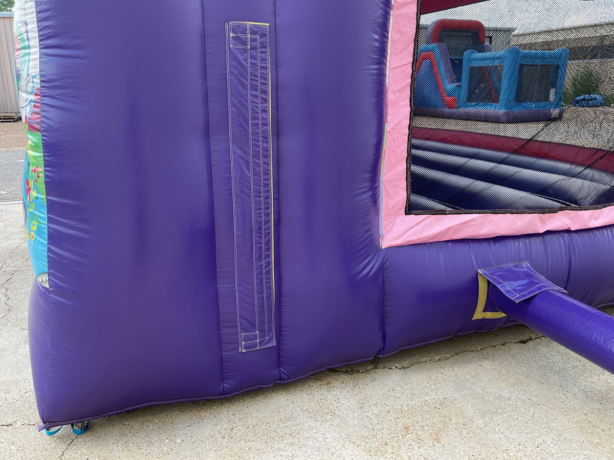 Disney Princess C4 wet/dry combo