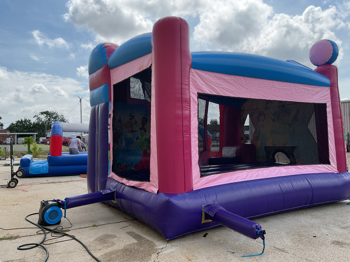 Disney Princess C4 wet/dry combo