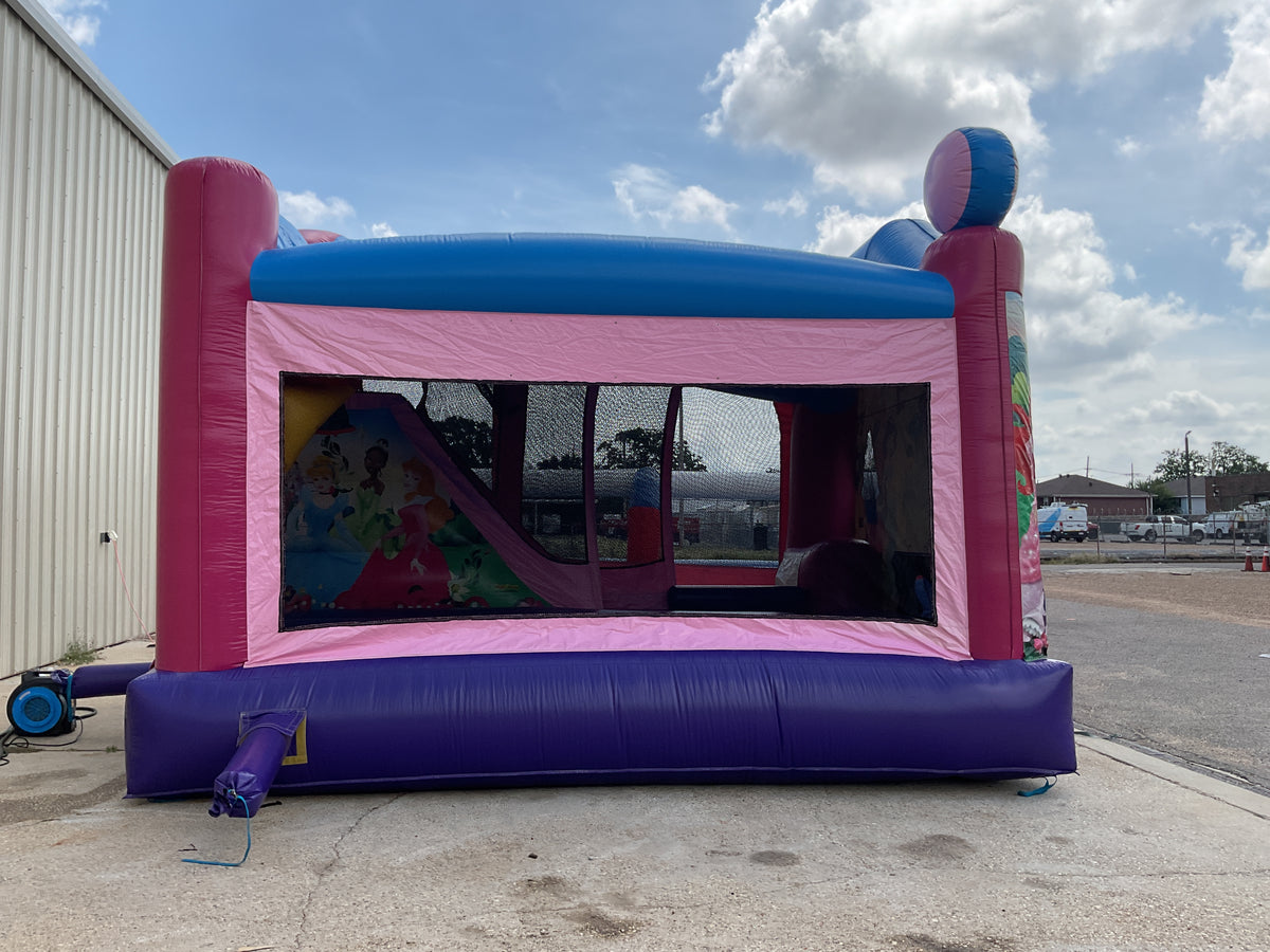 Disney Princess C4 wet/dry combo