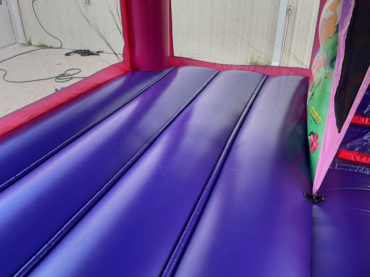 Disney Princess C4 wet/dry combo