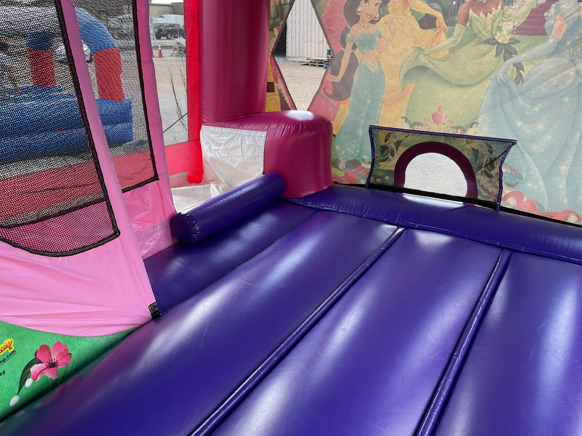 Disney Princess C4 wet/dry combo