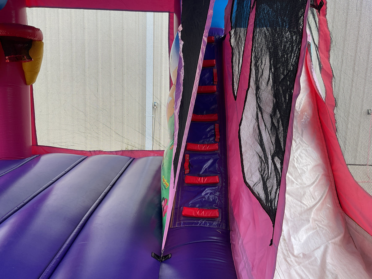 Disney Princess C4 wet/dry combo