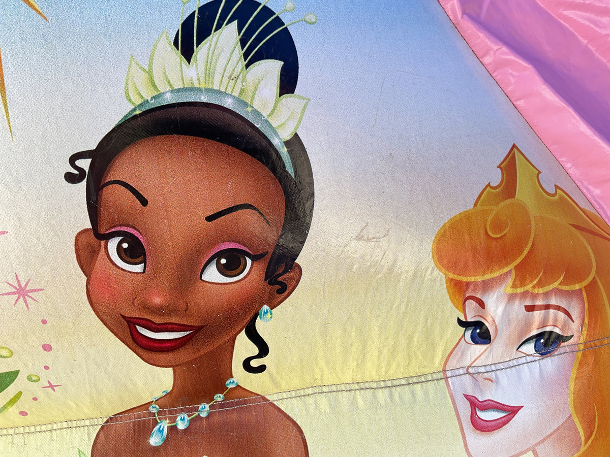 Disney Princess C4 wet/dry combo