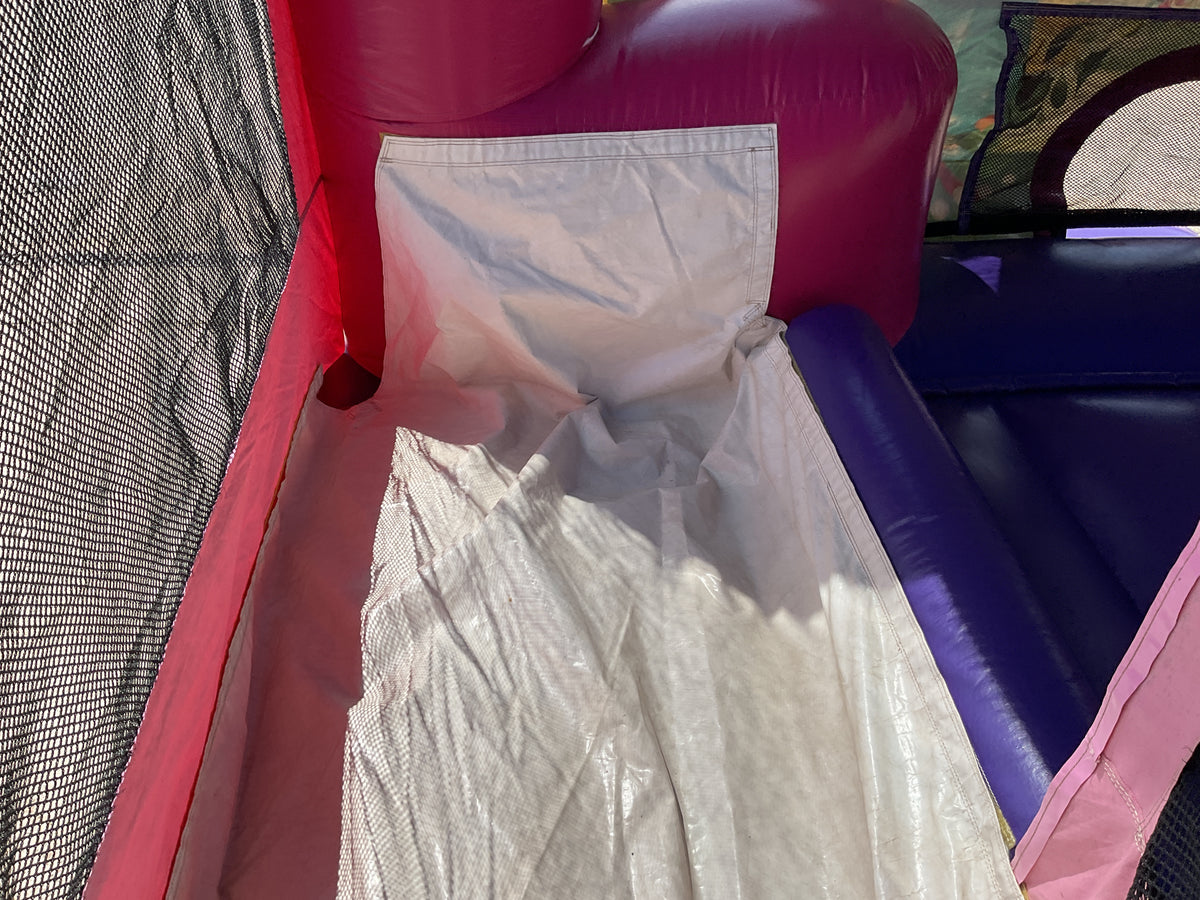 Disney Princess C4 wet/dry combo