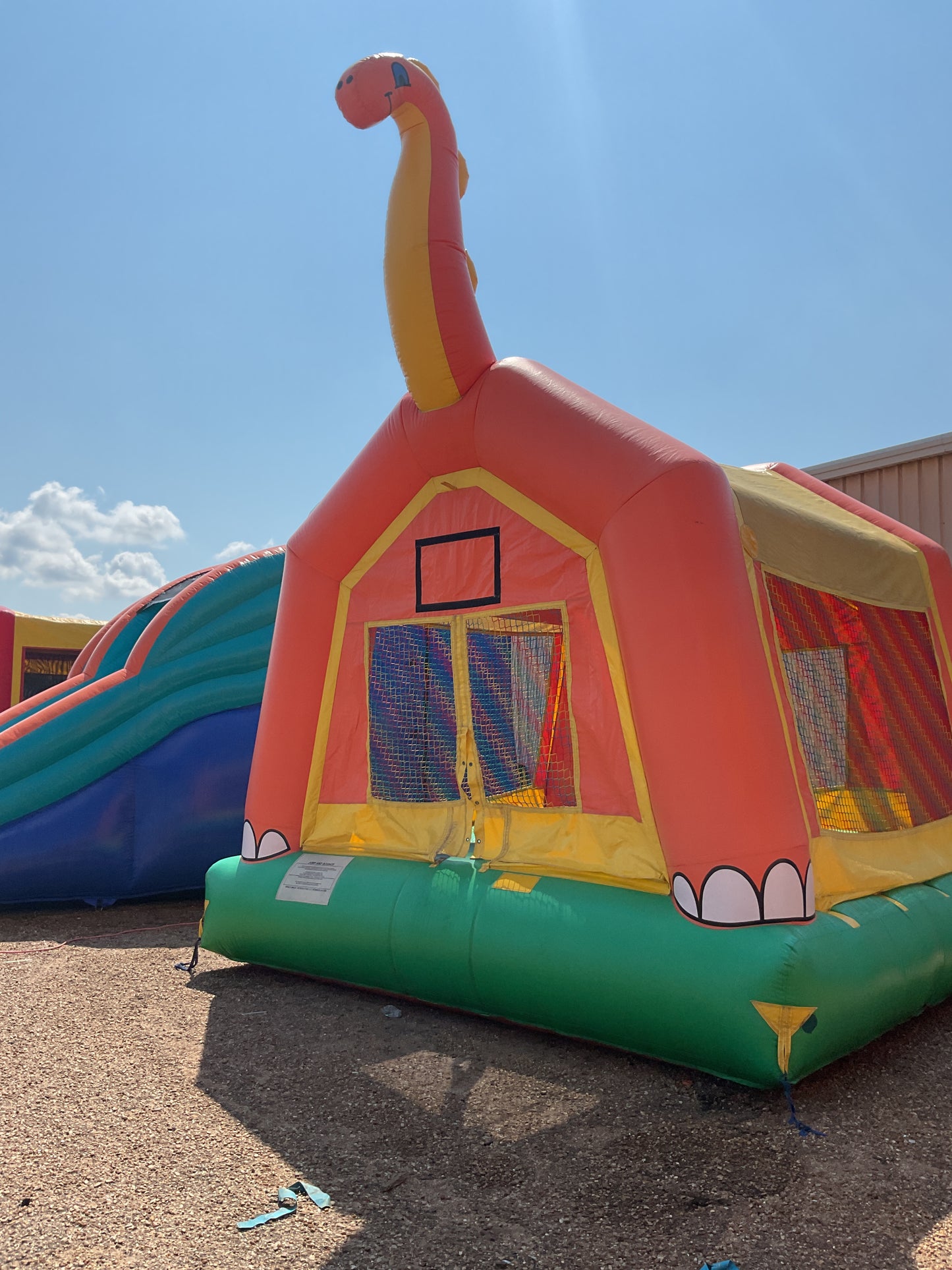 Dino Bounce
