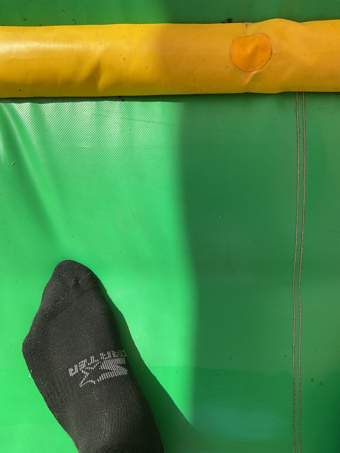 Dino Bounce