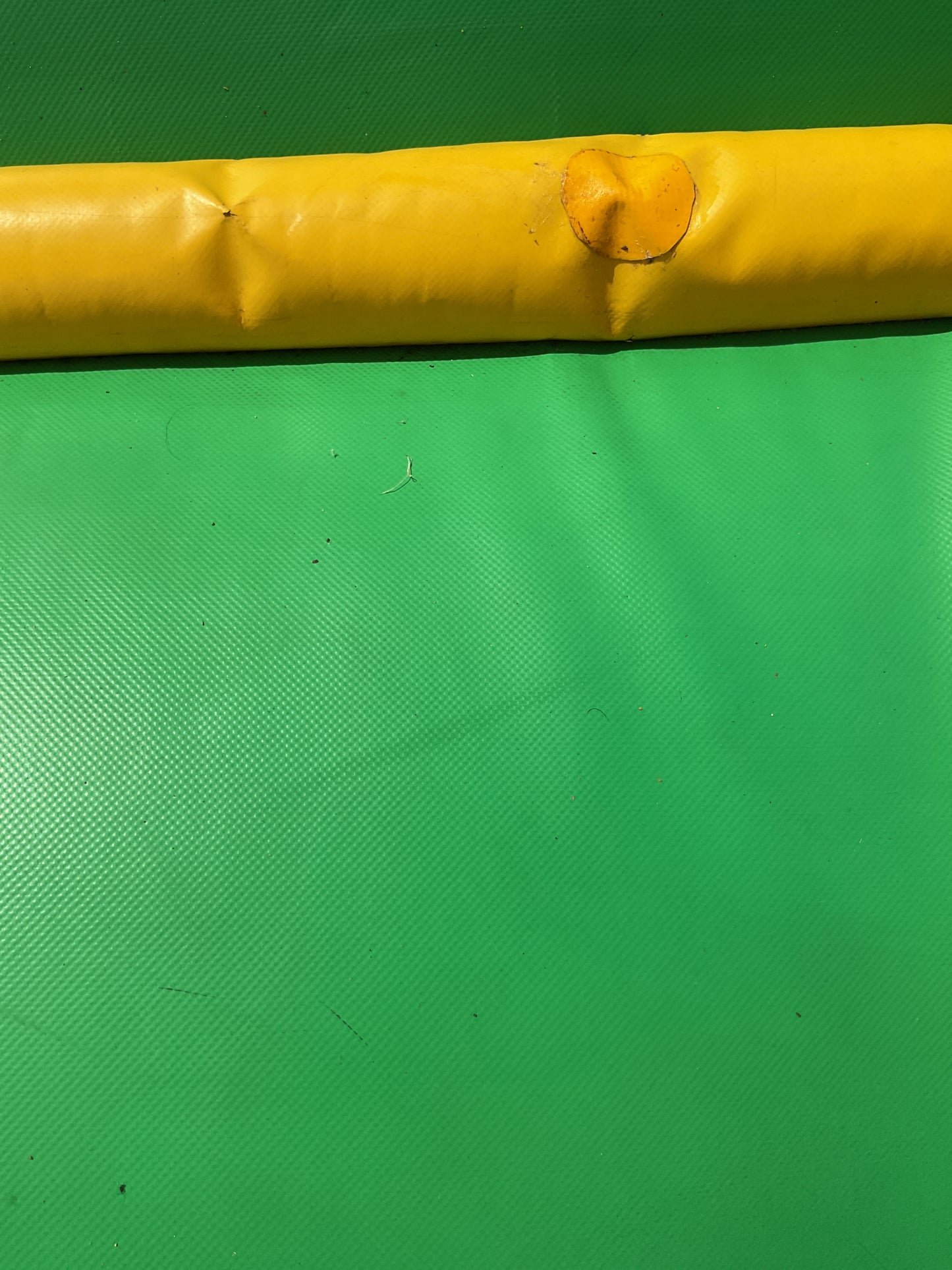 Dino Bounce