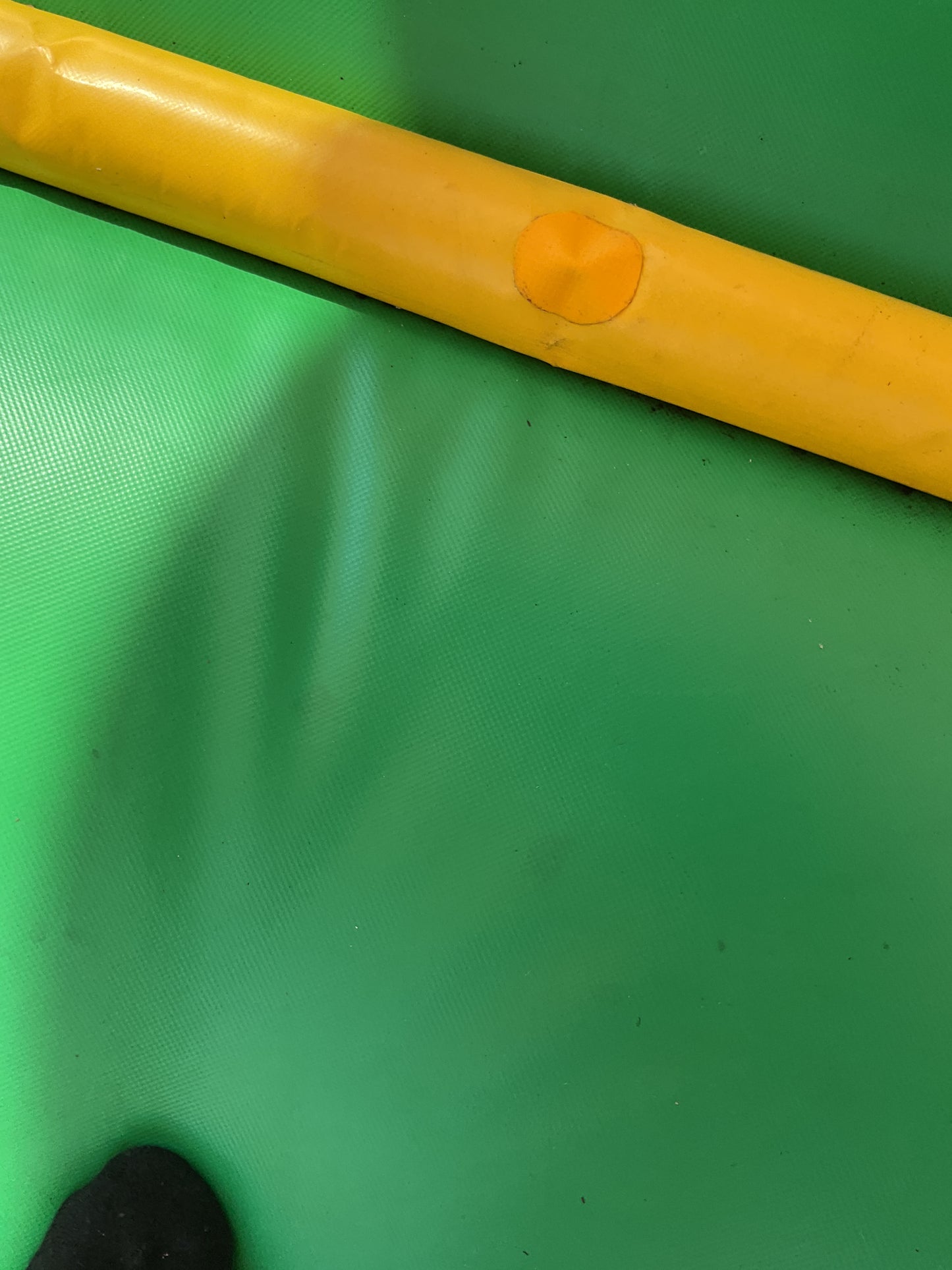 Dino Bounce