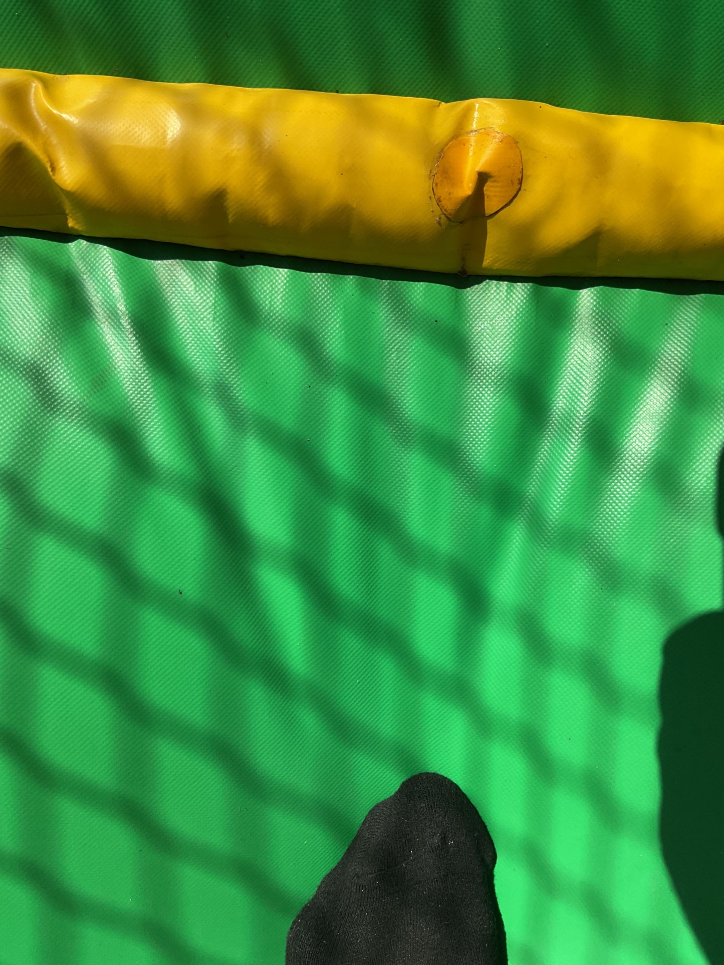 Dino Bounce
