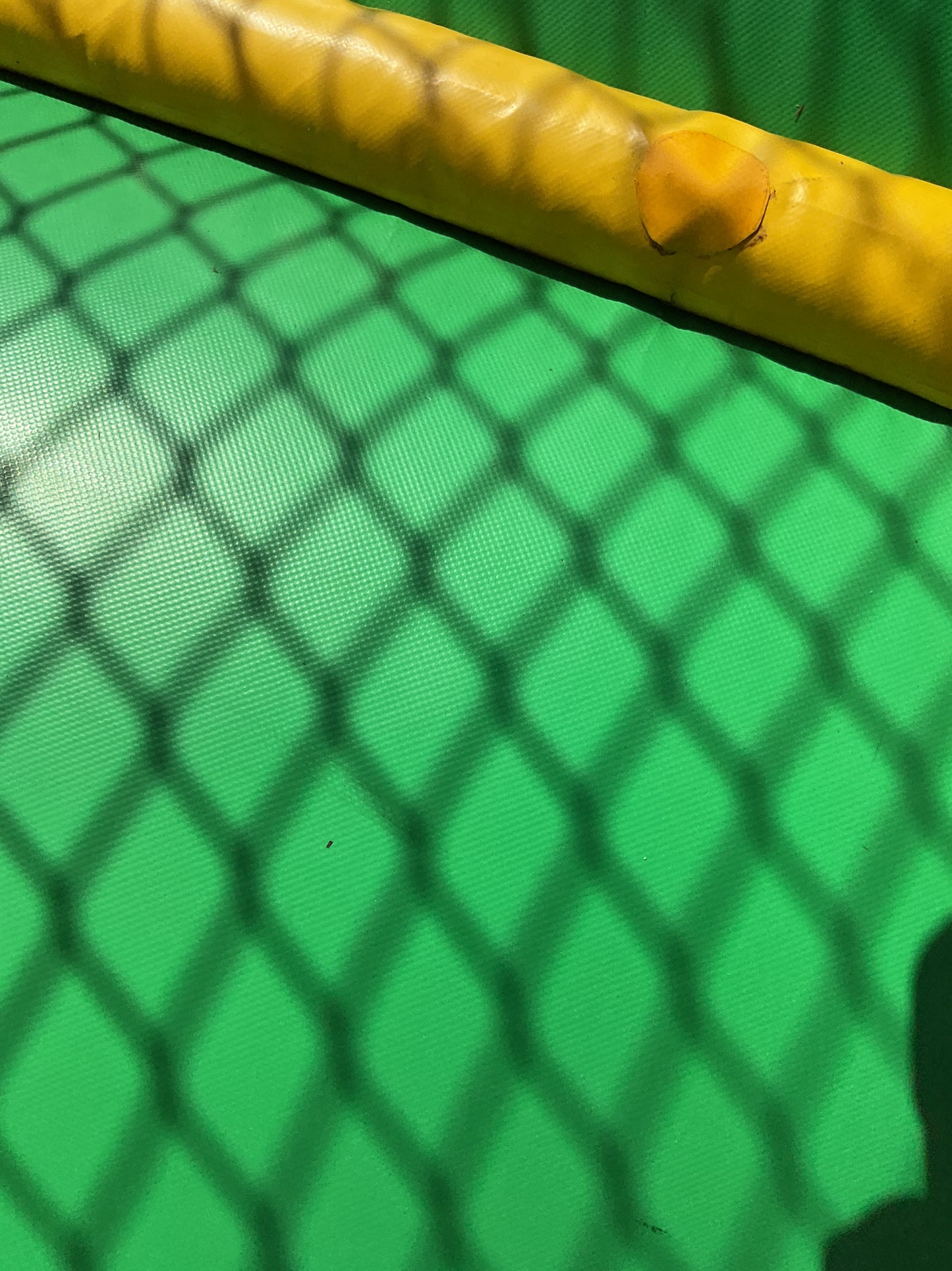 Dino Bounce