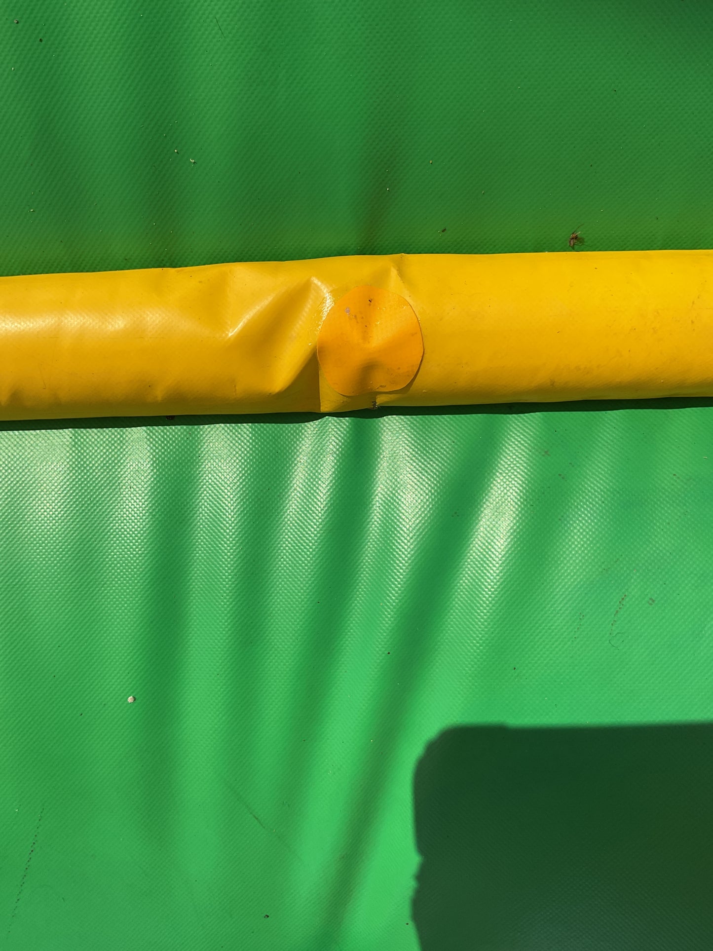 Dino Bounce