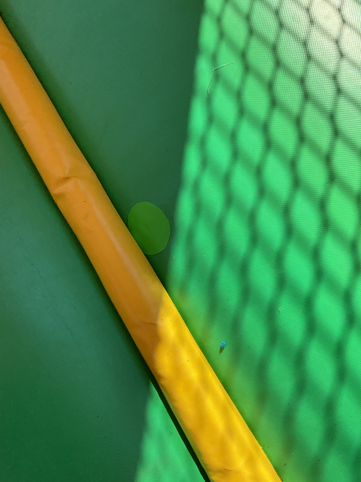 Dino Bounce