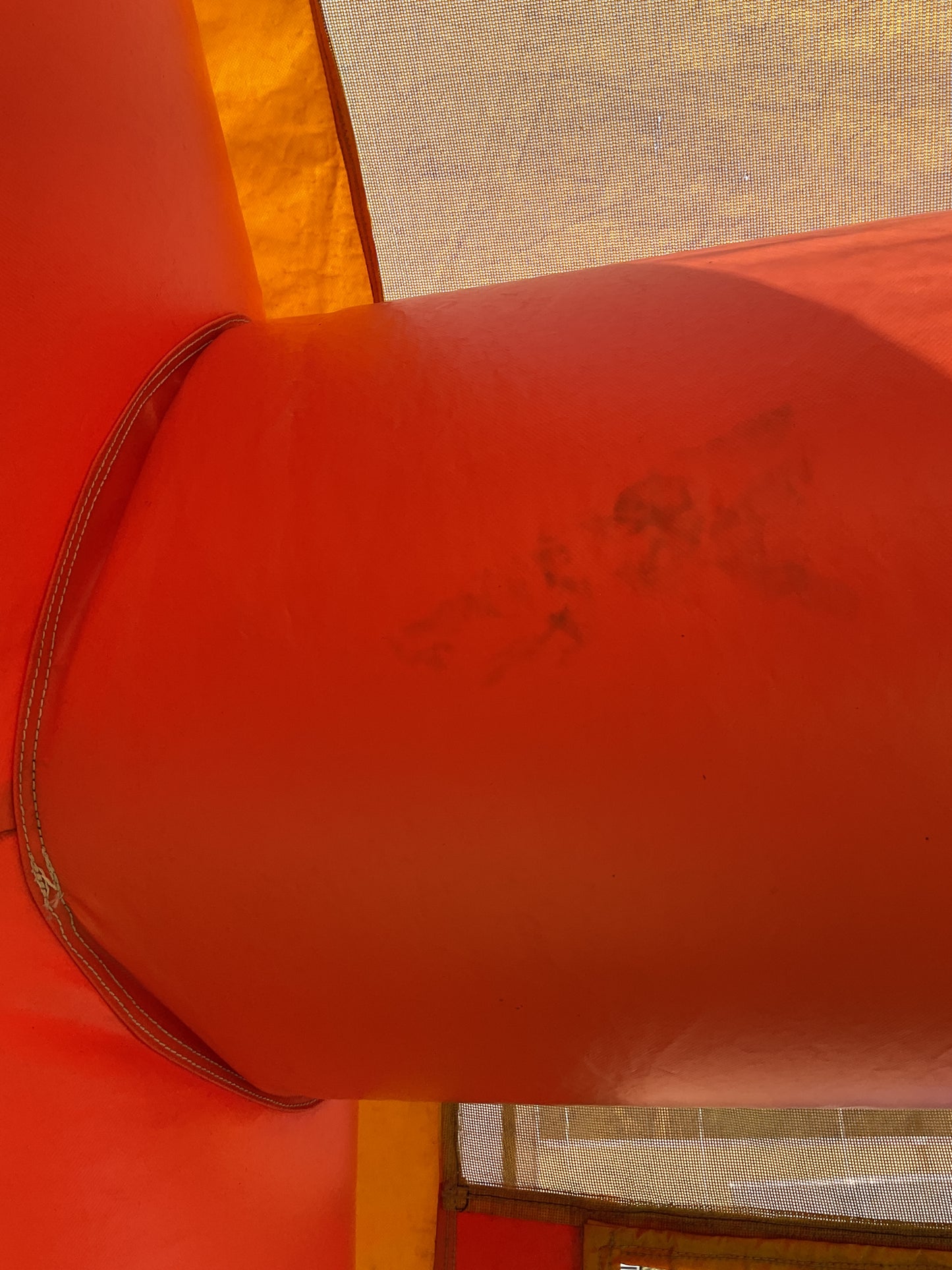 Dino Bounce