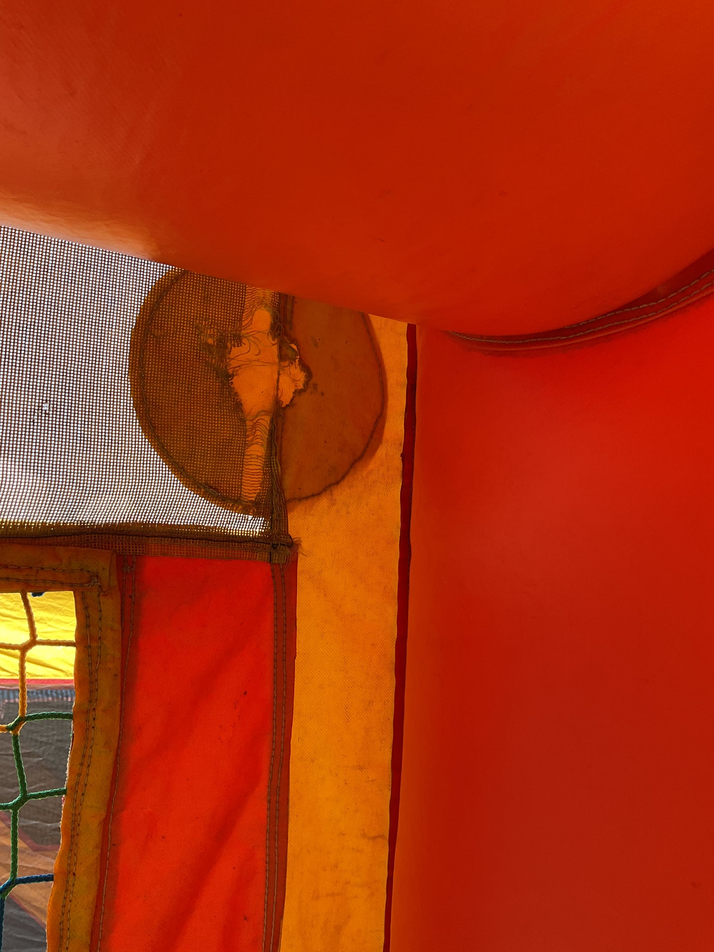 Dino Bounce
