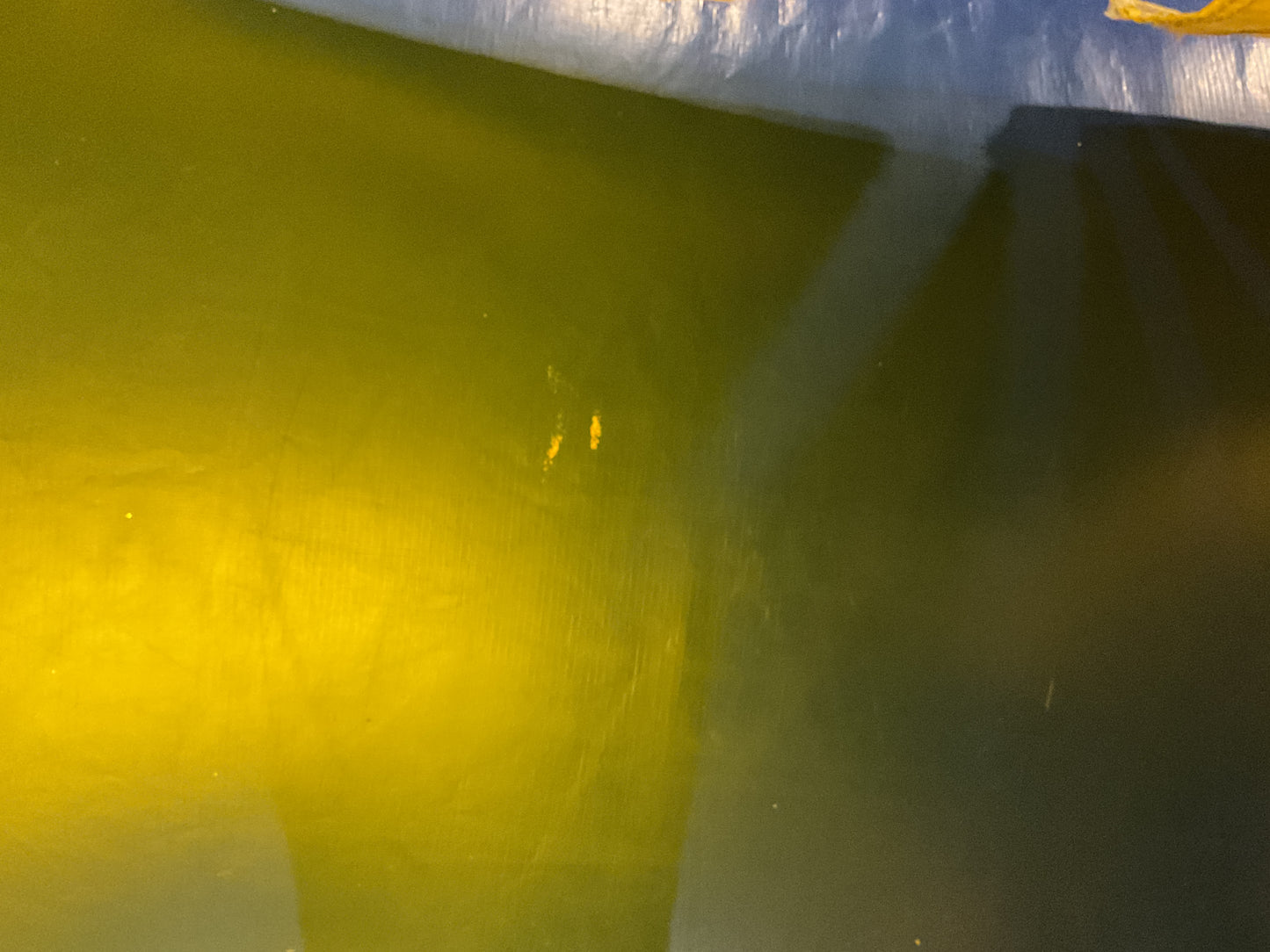 Yellow Castle Bounce