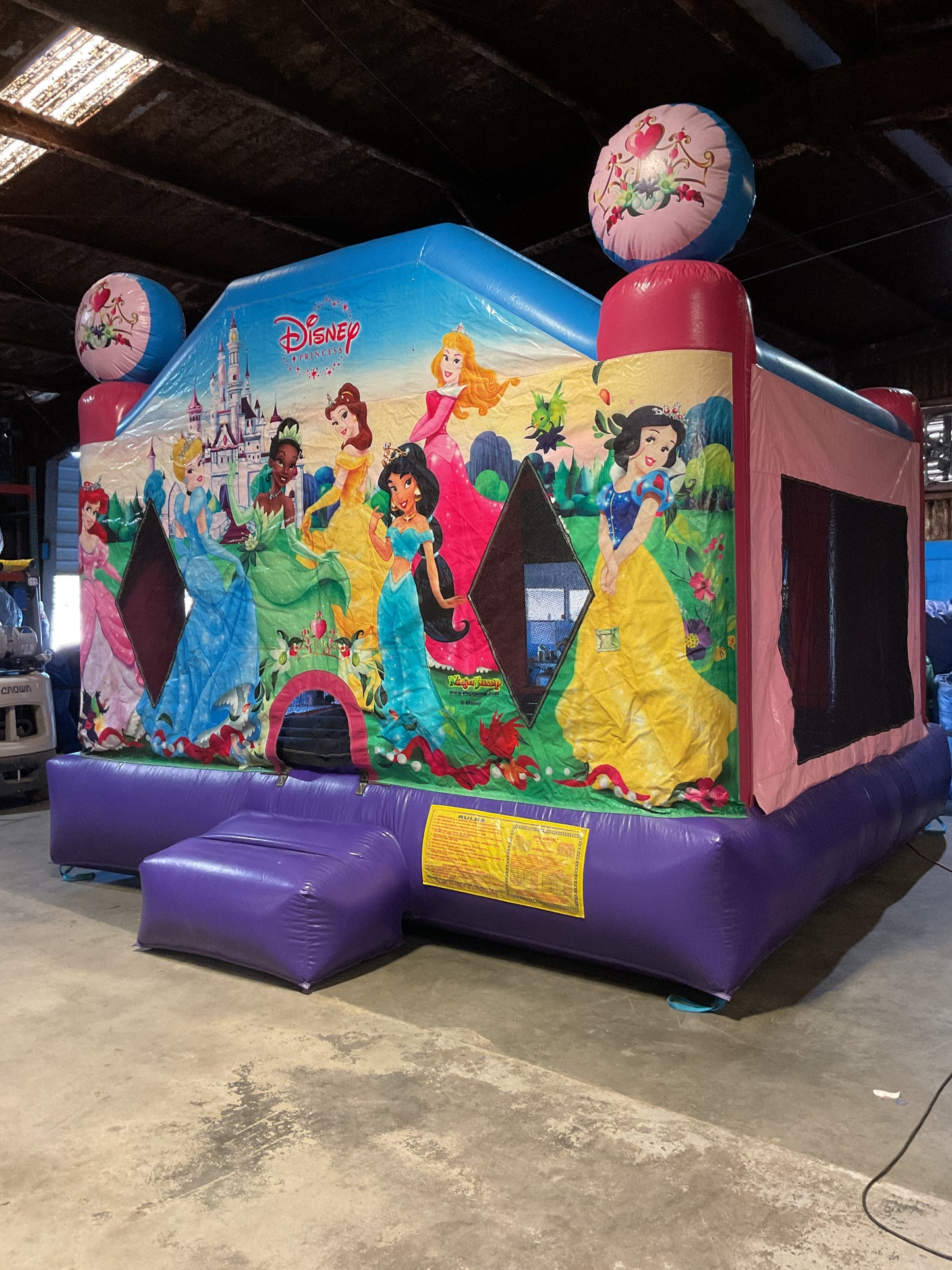 Disney Princess Bounce house