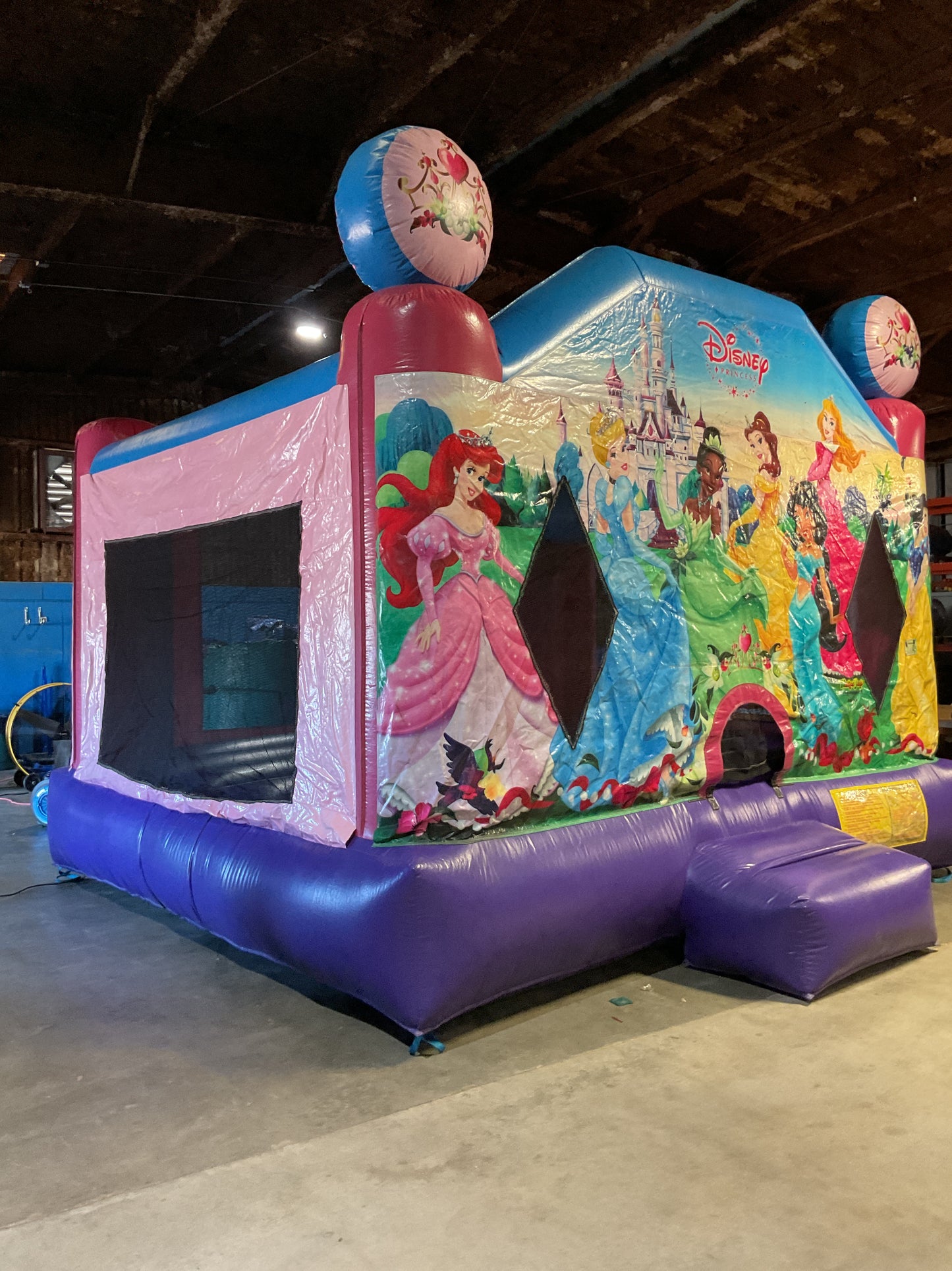 Disney Princess Bounce house