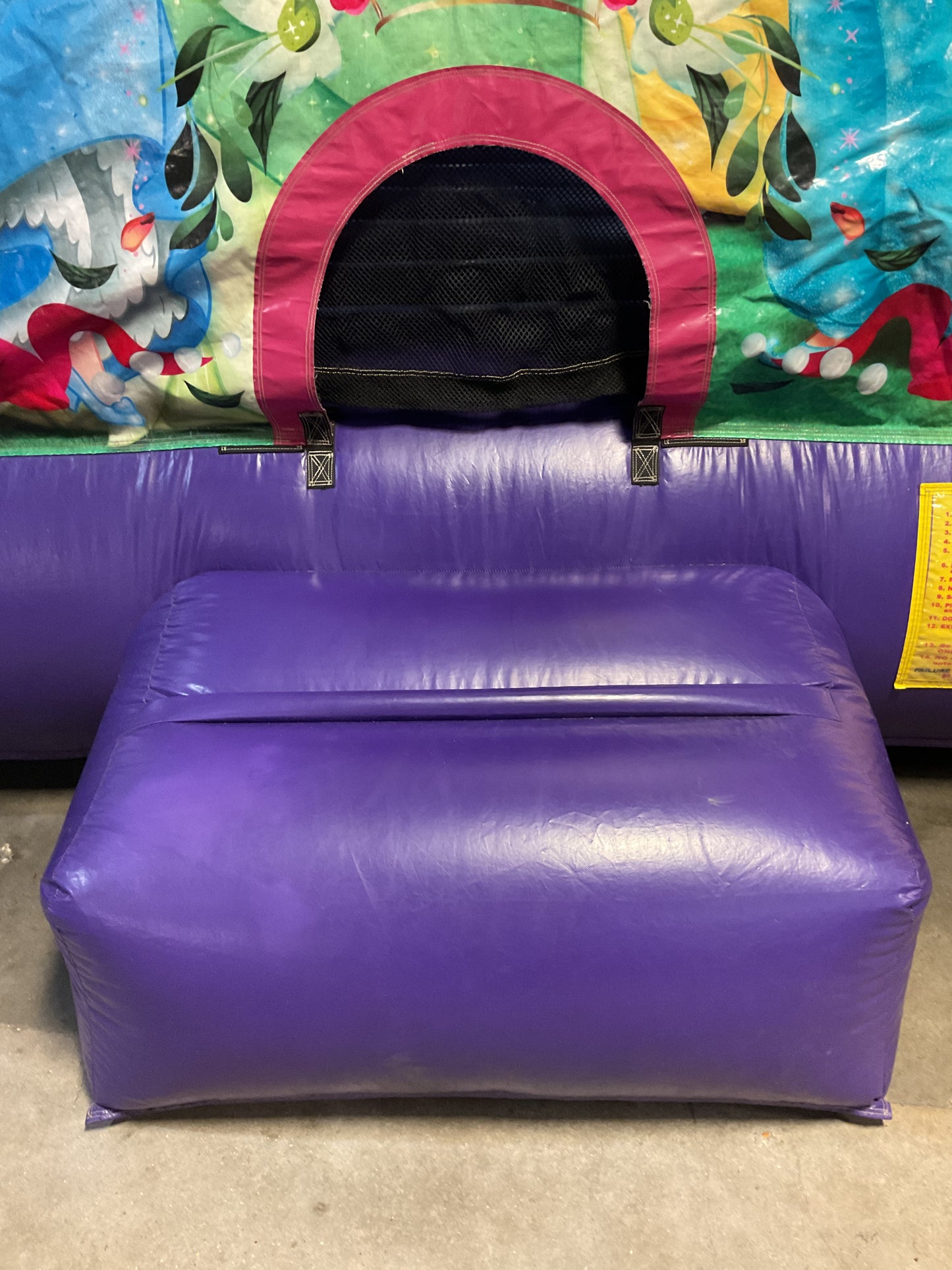 Disney Princess Bounce house