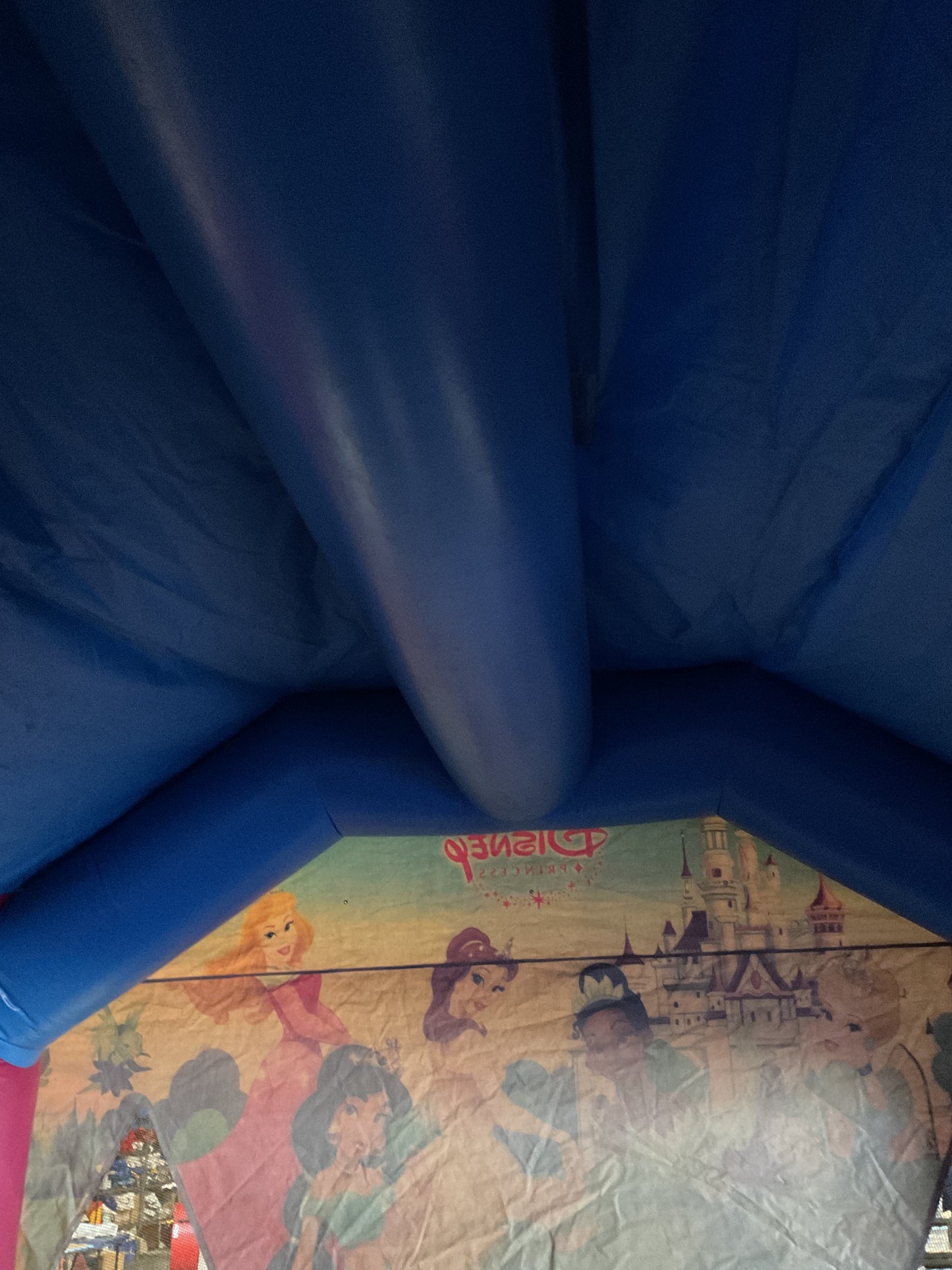 Disney Princess Bounce house