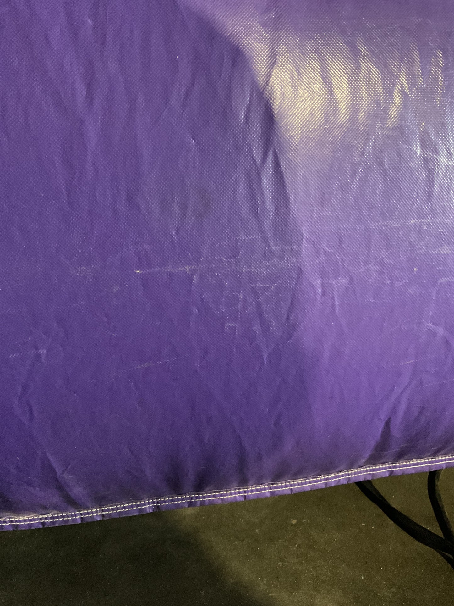 Disney Princess Bounce