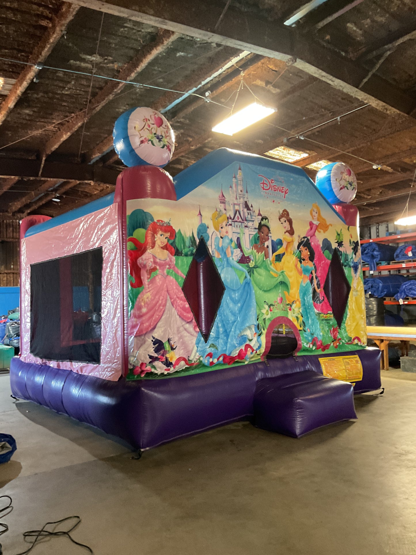 Disney Princess Bounce