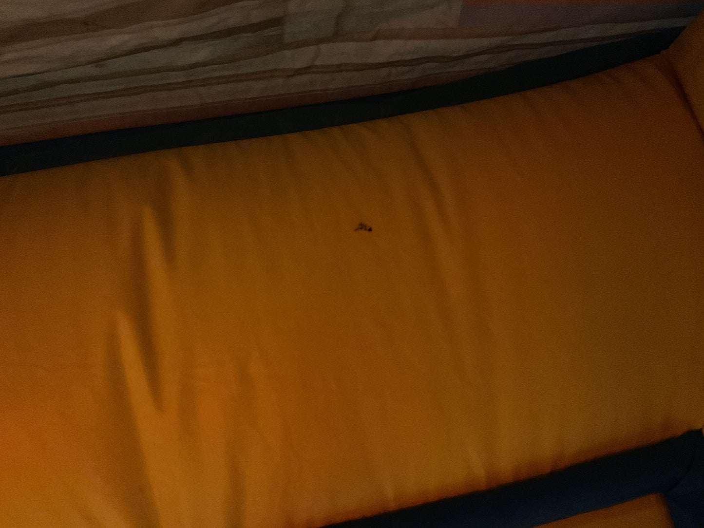 Ice Cream Truck Bounce