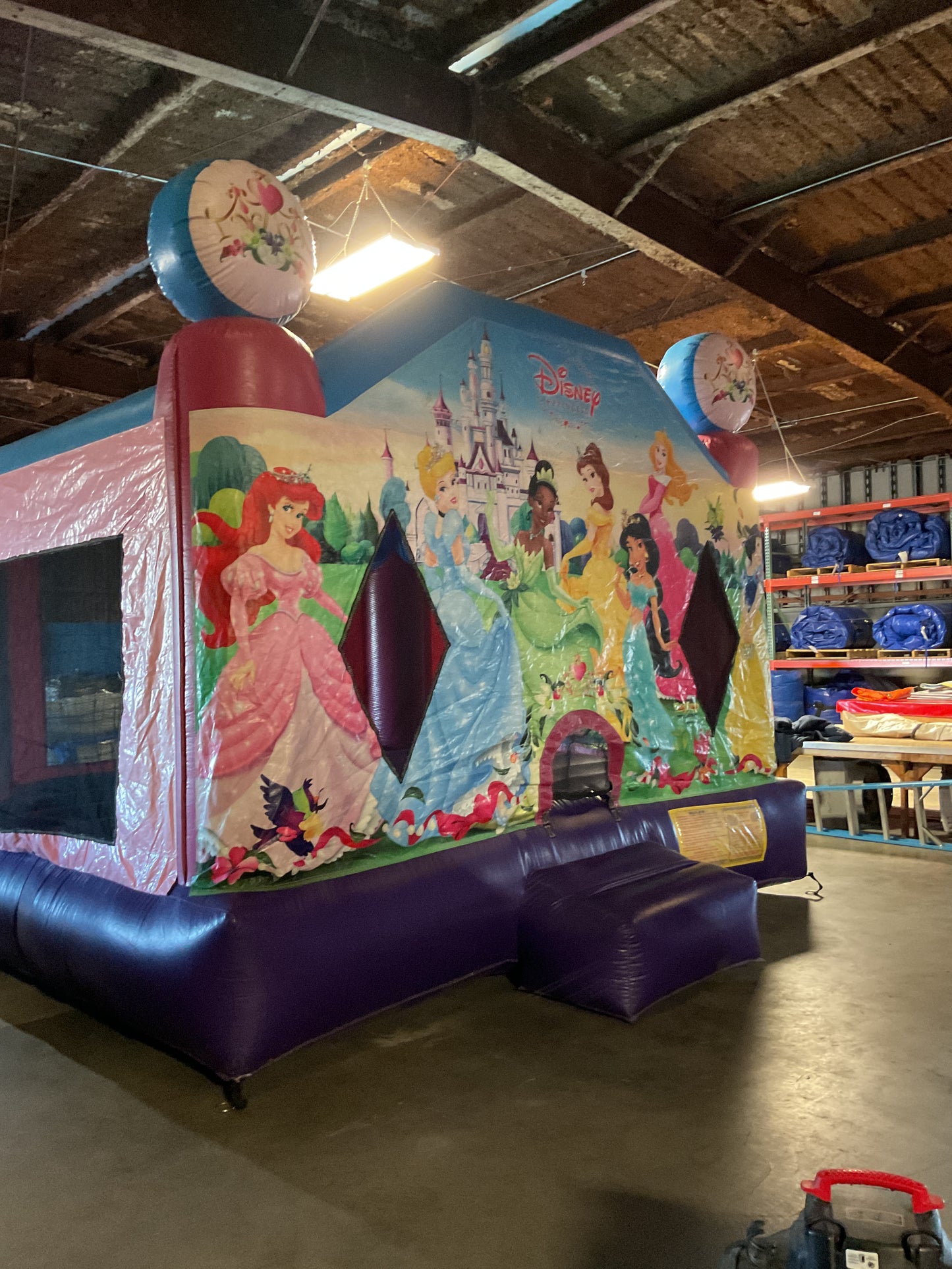 Disney Princess Bounce