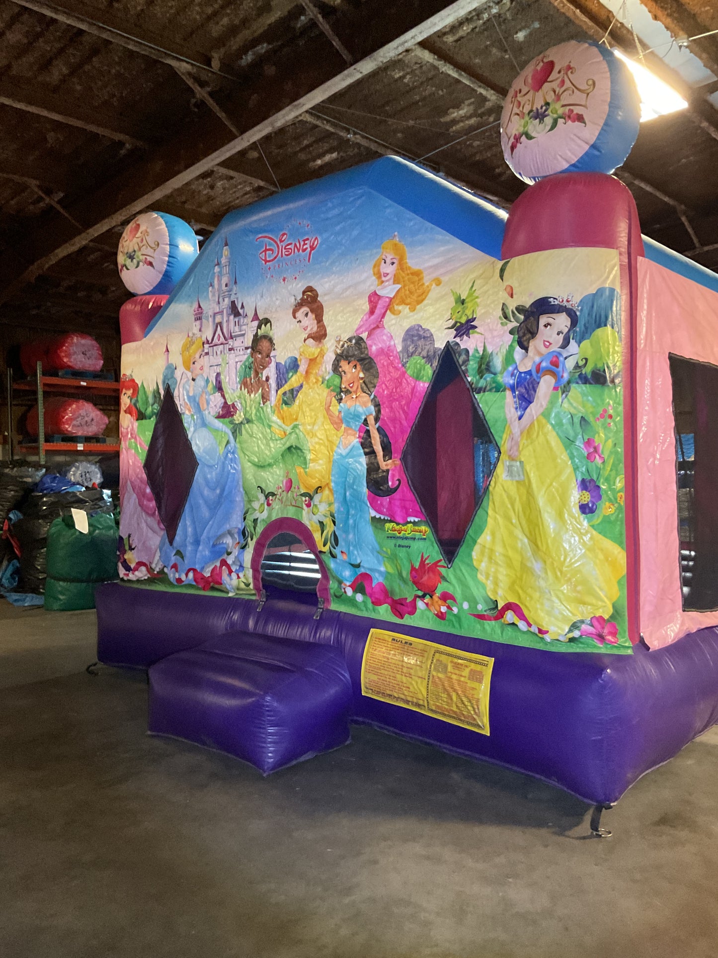 Disney Princess Bounce