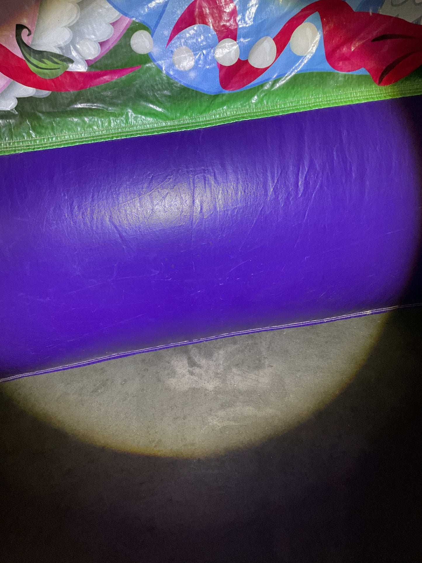 Disney Princess Bounce