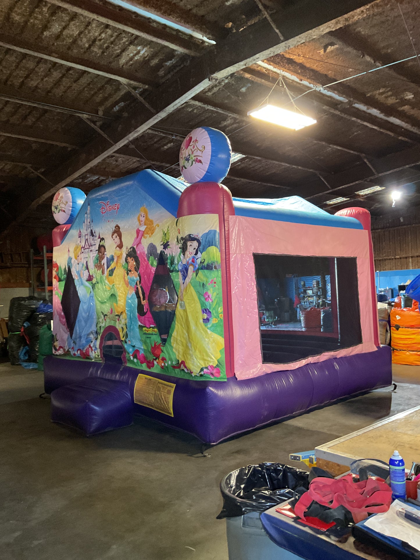 Disney Princess Bounce